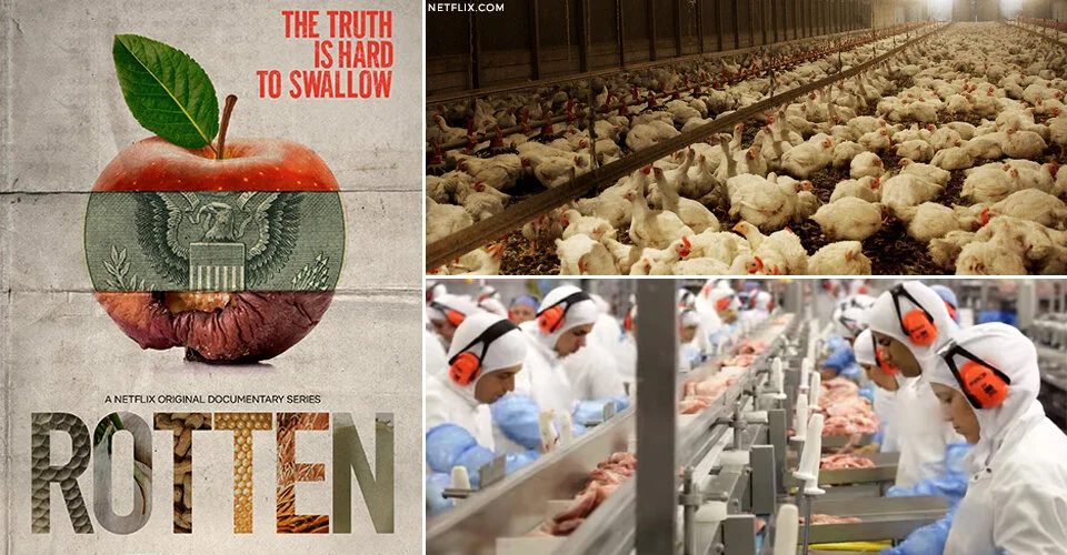 Rotten (2018)